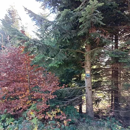 Domowe Zacisze W Nickulinie Holiday home