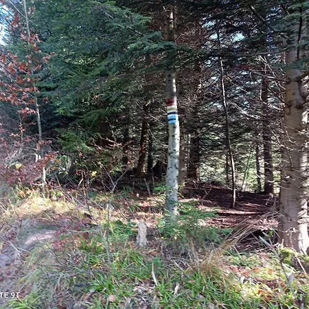 Holiday home Domowe Zacisze W Nickulinie Rajcza
