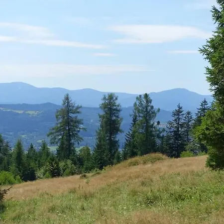 Domowe Zacisze W Nickulinie Holiday home Rajcza