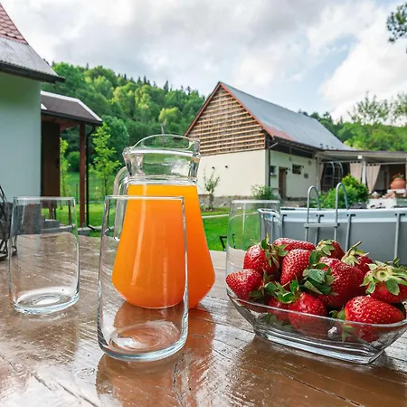 Domowe Zacisze W Nickulinie Holiday home Rajcza