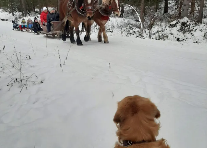 Domowe Zacisze W Nickulinie